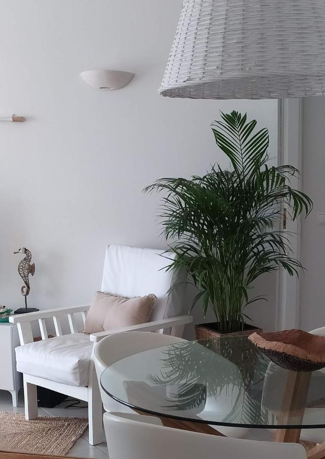 Three Palms Apartment フェラグド エクステリア 写真