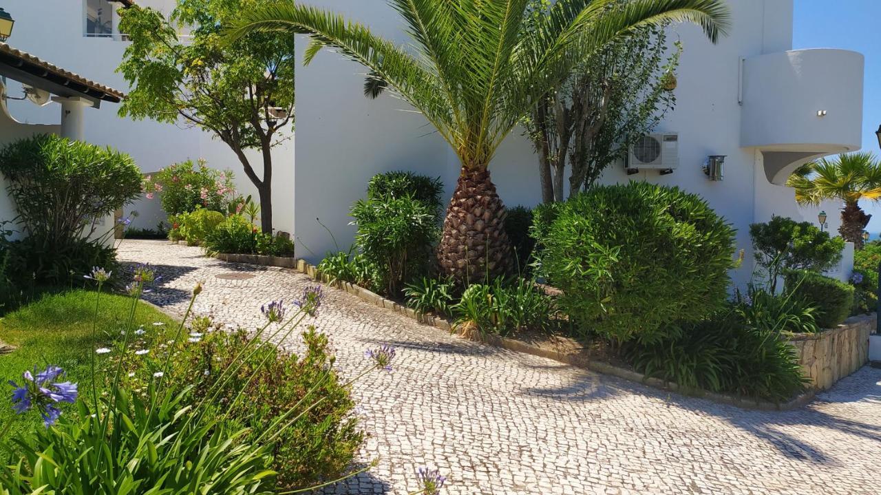 Three Palms Apartment フェラグド エクステリア 写真